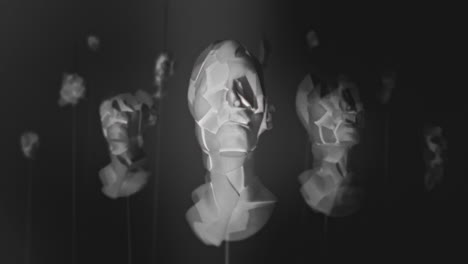 broken mannequin head shells in xray