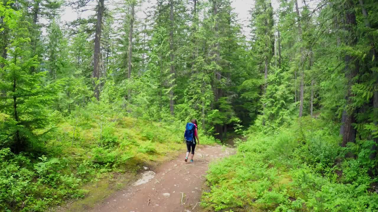 숲 을  ⁇ 고 있을 때 아기 를 배 ⁇  으로 들고 있는 어머니 4k