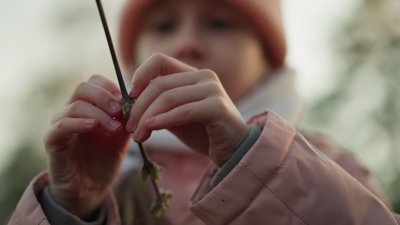 primer plano de las manos de una niña tocando delicadamente una rama seca del árbol, capturando un momento de exploración y curiosidad. la niña, vestida con una chaqueta rosa y gorra