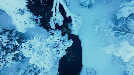 top view of a creek in snow winter forest park