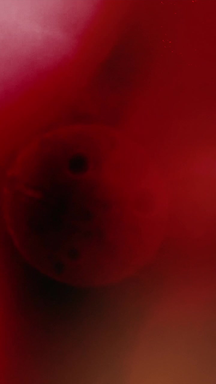 Perdite di luce e particelle astratte rosse e oro