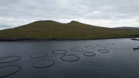 anillos de maricultura de salmón en el océano atlántico abierto con montañas verdes de las islas feroe, retirada aérea