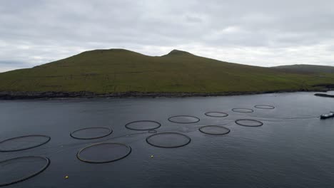 mariculture salmon rings in open atlantic ocean with green rolling mountains of faroe islands, aerial pullback