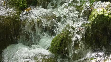 pequeña montaña río bosque cascada