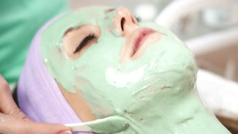 woman with facial mask. cosmetician applying clay facial mask at woman face