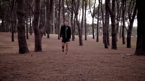 man slowly walking with pine tree forest surrounding him