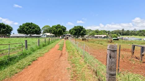 un paseo por un sendero agrícola rural a lo largo del tiempo