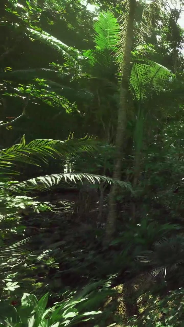 Fitta foresta mostra varie piante e alberi in un ambiente tropicale