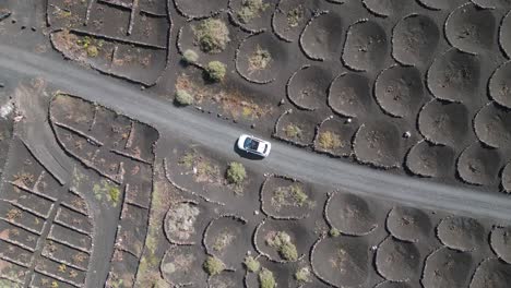 bonita vista aérea vuelo coche blanco en pista de ceniza de volcán negro en viñedo, lanzarote islas canarias españa, día soleado 2023