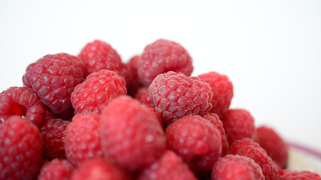 Shooting of raspberry. Summer berries