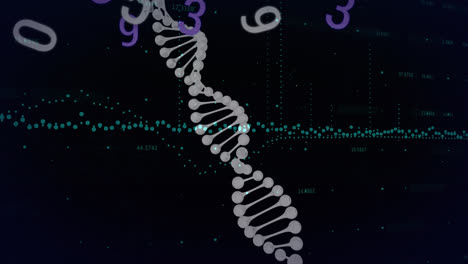 Animation-Eines-Rotierenden-DNA-Strangs-über-Diagramm-Und-Numerische-Datenverarbeitung-Auf-Schwarzem-Hintergrund
