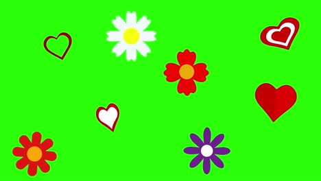 flat flowers and hearts animation graphic elements on green screen chroma key