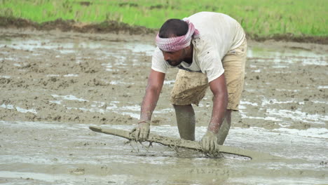 An-Indian-male-farmer-doing-agricultural-activities-in-the-plowed-farm