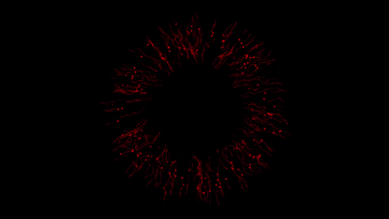 Abstract red particle circle burst on black background. Glowing digital particles explode outwards in a circular pattern, ideal for dynamic intros or transitions. Seamless loop