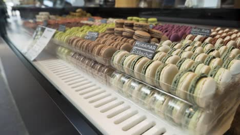 assortment of colorful macarons in a shop window