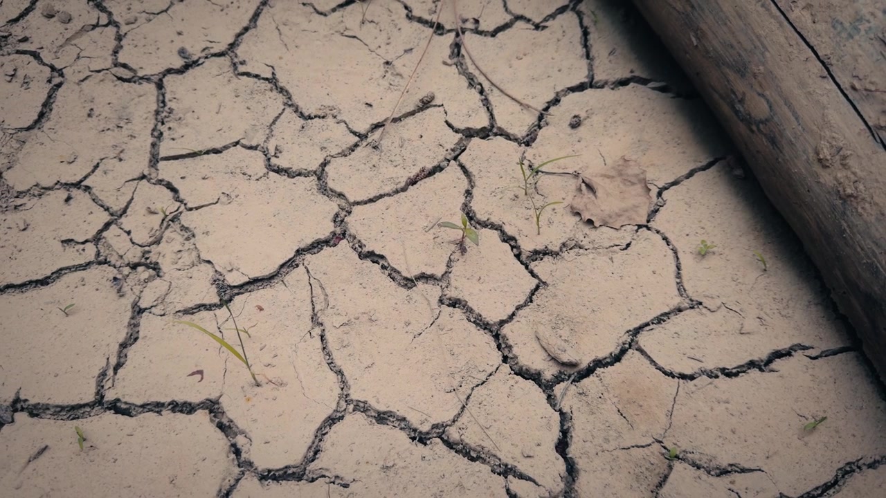 Terreno arido con profonde crepe che illustrano la scarsità d'acqua e l'impatto climatico. Prospettiva dettagliata dal suolo di una crisi ambientale.