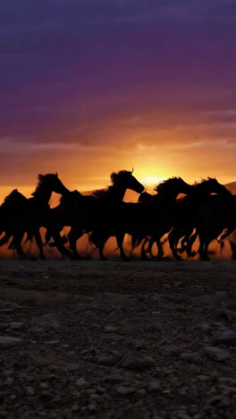 wild horses galloping at sunset