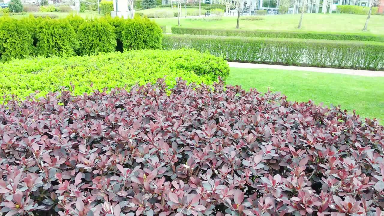 봄 시즌의 도시 공원