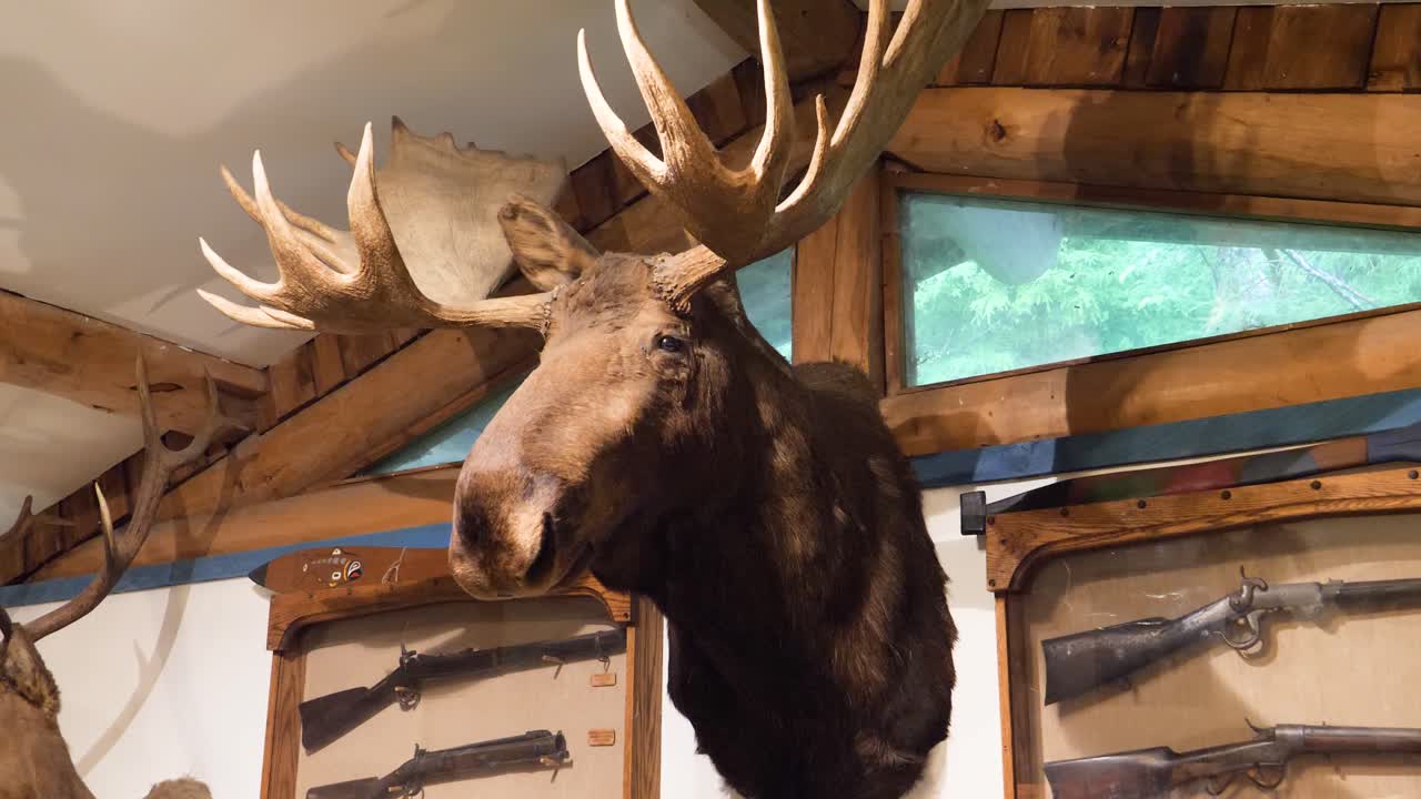 Head of a Moose displayed in the Potlatch Carving Center, Totem Park and Museum in Ketchikan, Alaska.