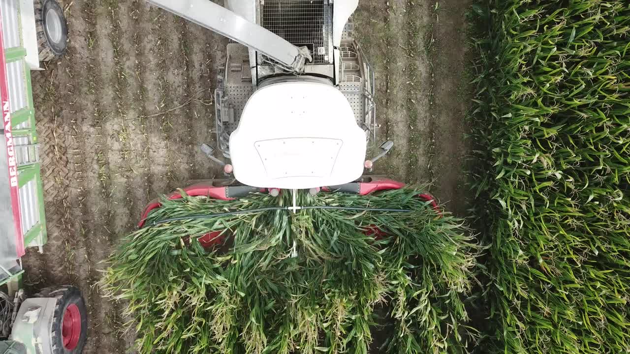 cerrar topshot de una máquina cosechadora en maizal