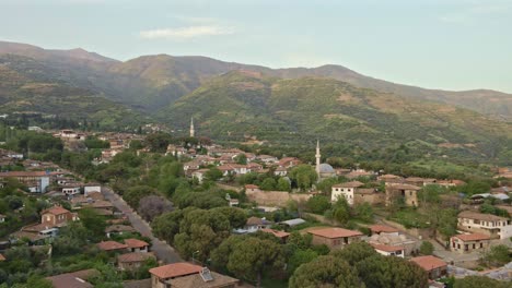 a village view with its mosque and renovated houses.