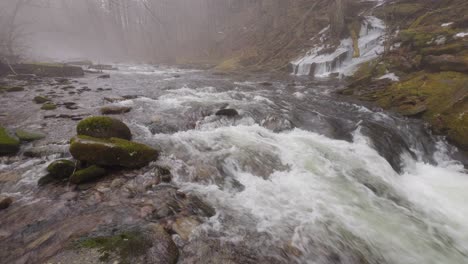 impresionante arroyo de musgo en las montañas catskill, en un día mágico de niebla, atmosférico, durante el invierno tardío