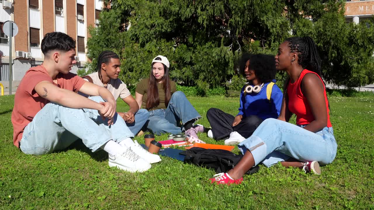 Diverse Group of Young Students Socializing on Grass in Campus Park