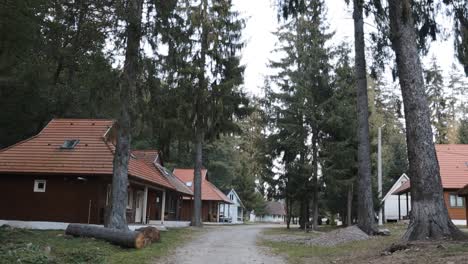 cabañas en un paisaje boscoso, vacaciones de verano en el campo - plano general