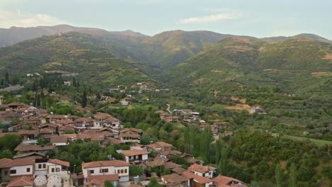 a village view with its mosque and renovated houses.