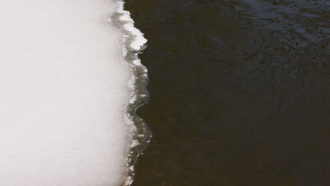 Lago-En-La-Naturaleza