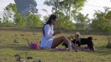 chica del sudeste asiático con vestido blanco sentada en un prado y acariciando y alimentando a dos perros