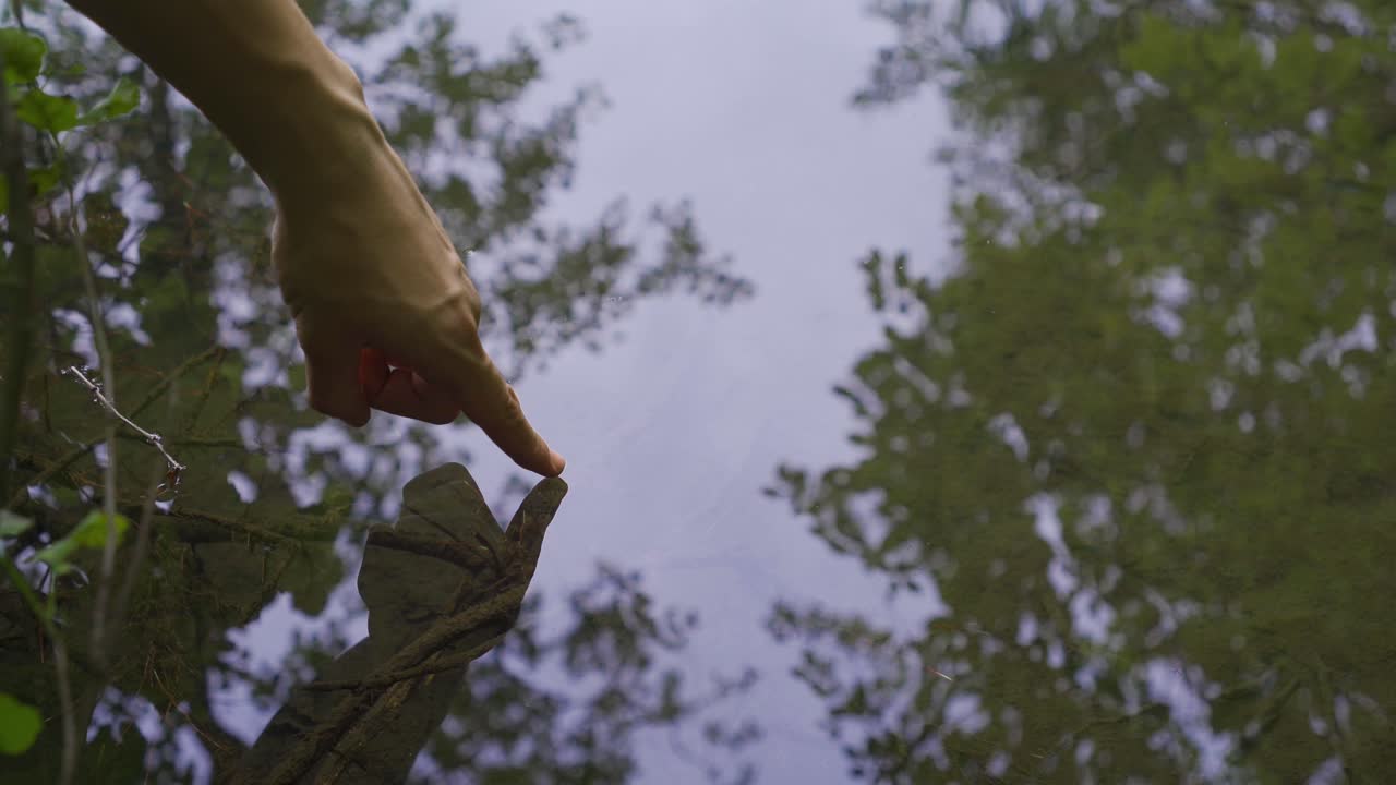 자연에서 발견되는 물의 표면입니다.