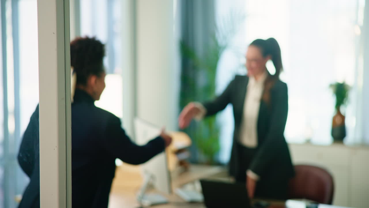 Two Businesswomen Meeting and Shaking Hands in an Office