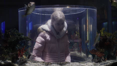 the child admires the underwater world inside the aquarium.