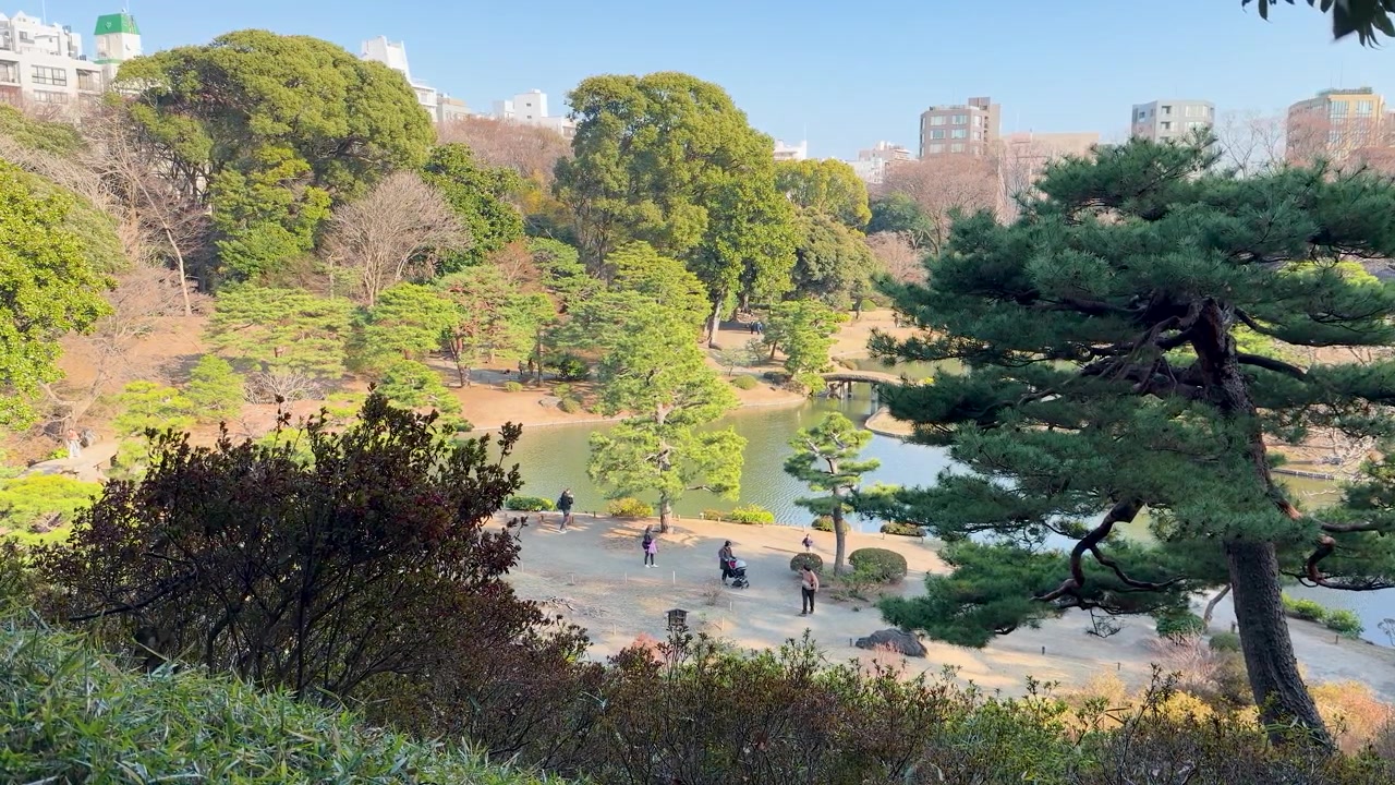Plano aberto de um jardim japonês tradicional em Tóquio sob a luz do dia brilhante.