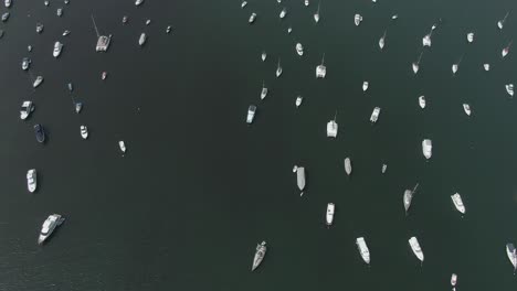 la bahía de hong kong revela una toma con cientos de botes pequeños, una toma aérea