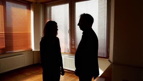 silhouetted conversation in an office