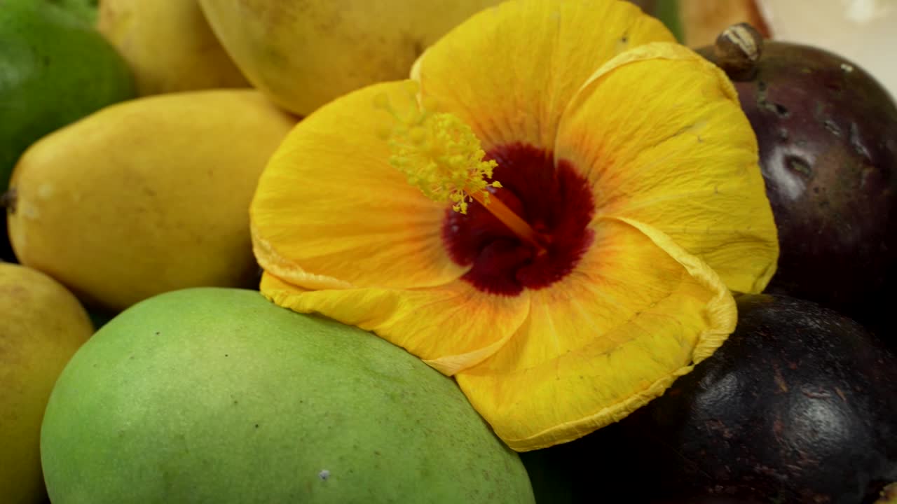 This captivating image showcases an assortment of tropical fruits commonly found in Asia, beautifully arranged with a vibrant hibiscus flower as a centerpiece.