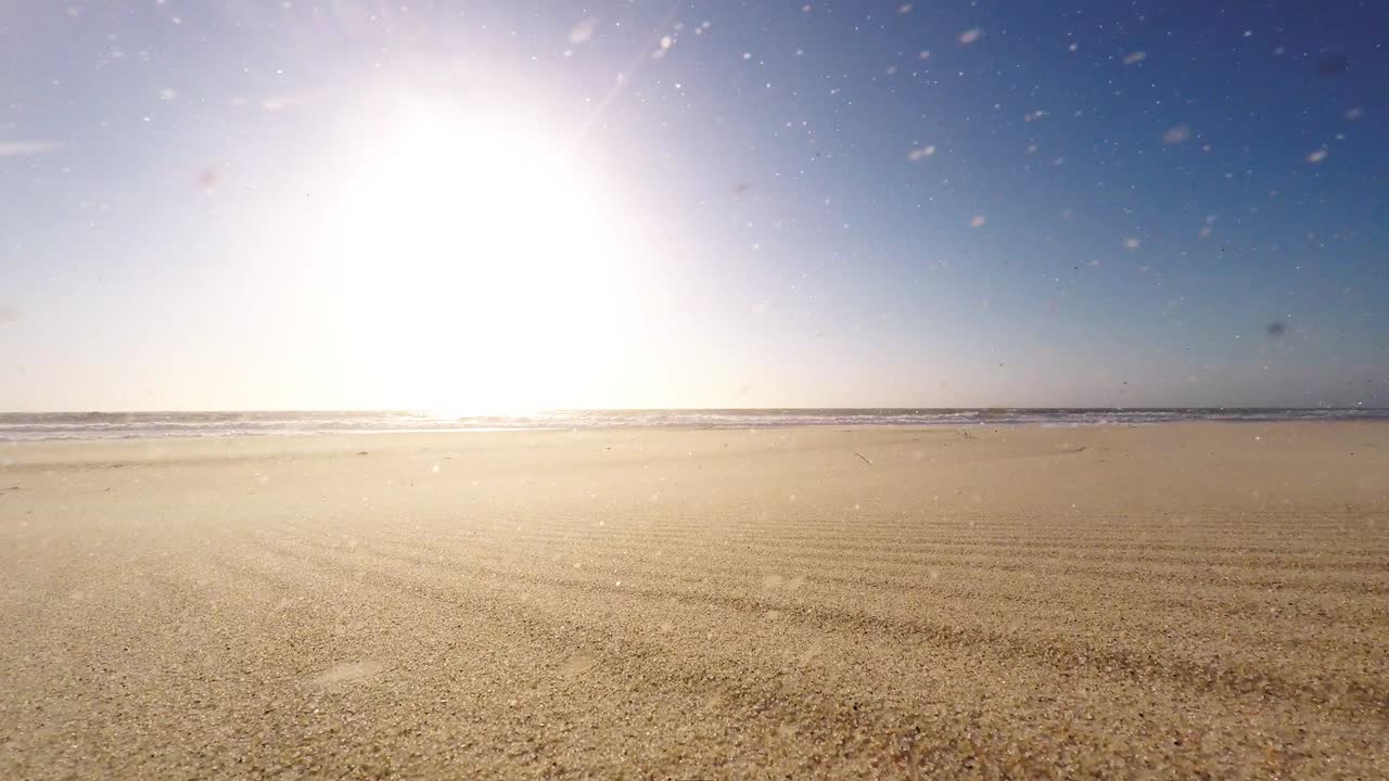 해변에서 바람이 불어오는 오후