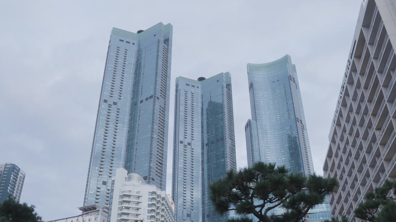 Haeundae LCT The Sharp com pinheiros em primeiro plano