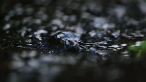 closeup of freshwater creek in selective focus