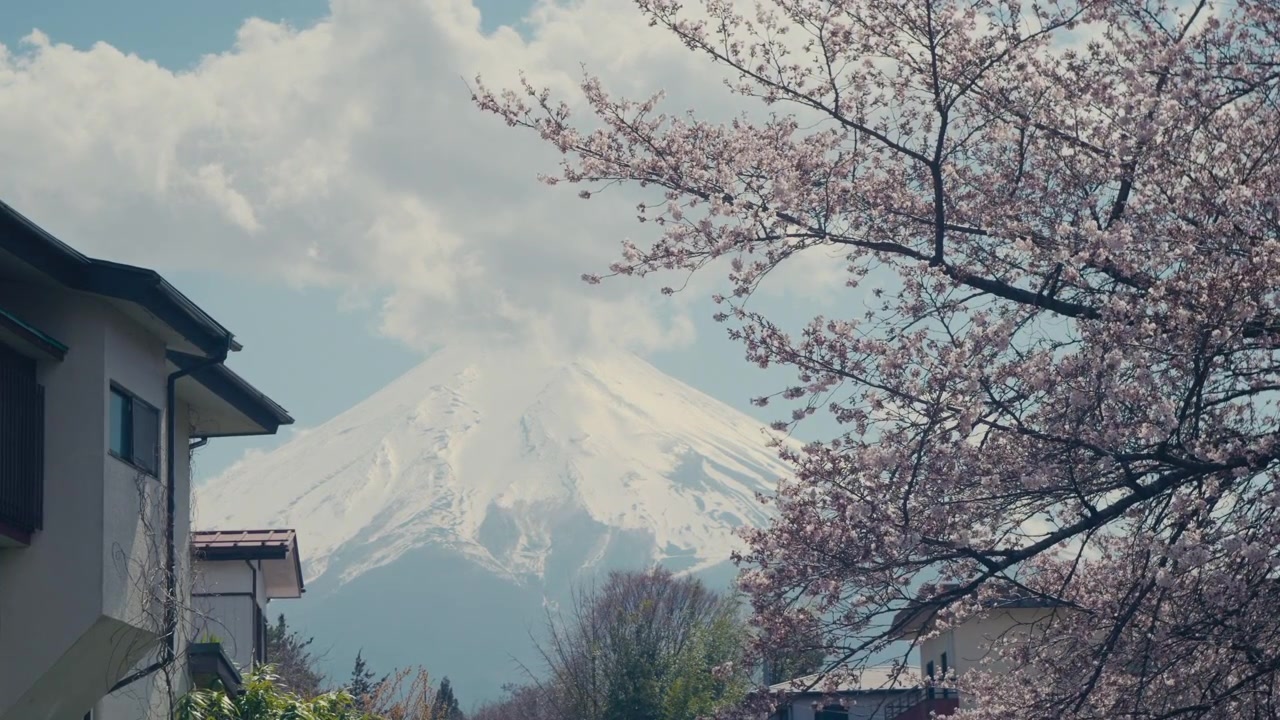 富士山與河口湖及周邊自然景觀。