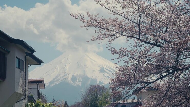 Fuji mountain with lake Kawaguchiko and natural surroundings