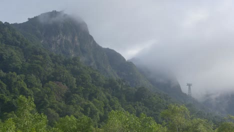 toma de mano de bajo ángulo del bosque y la montaña contra un cielo nublado