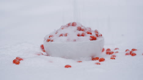 bayas rojas en un cuenco en la nieve