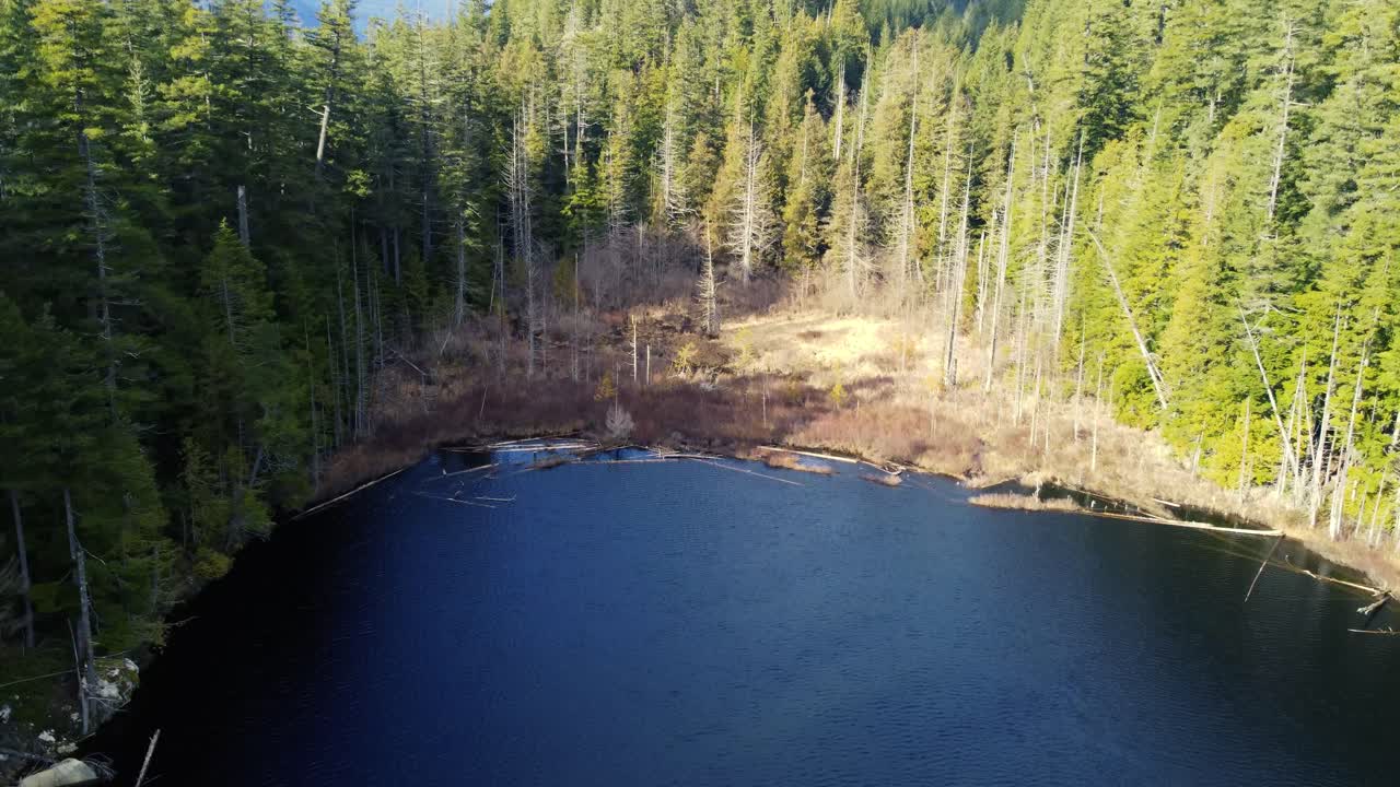 Ripresa con drone in dolly sopra un lago verso la fine del lago che si ferma alla foresta