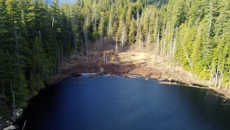 drone dolly shot above lake towards end of lake stopping at forest