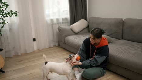 Tierbesitzerin-Spielt-Zu-Hause-Mit-Ihrem-Schönen-Terrier-Ball