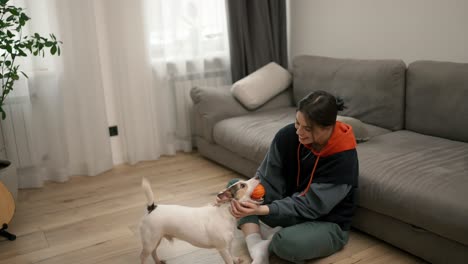 pet owner playing ball with her lovely terrier at home