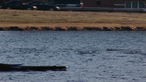 A-Women'S-Team-Heads-Down-The-Charles-River-For-Rowing-Practice